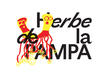 Herbe de la PAMPA Herbe de la PAMPA