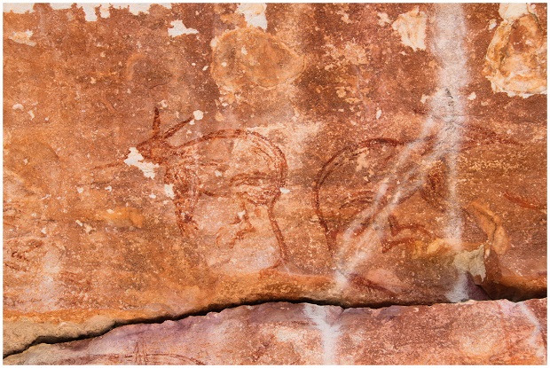 La représentation d'animaux dos-à-dos, ici deux de bilbis, est commune dans l’art rupestre aborigène ©P. Taçon
